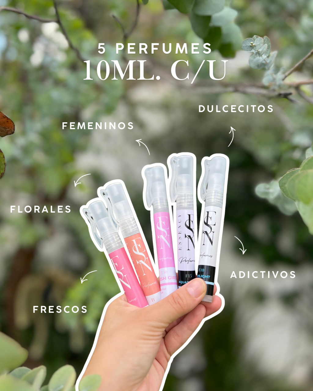 Kit de perfumes femeninos veraniegos.