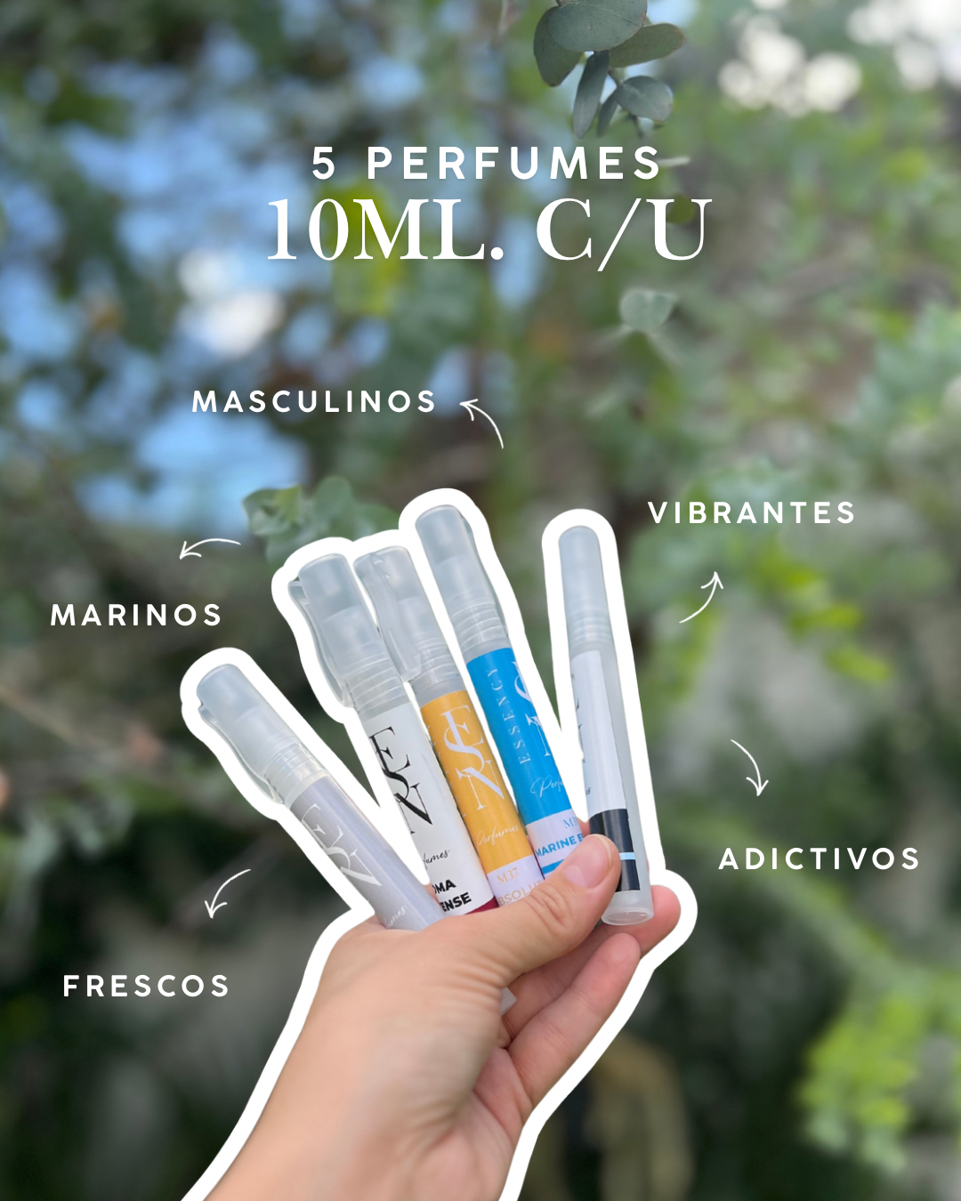 Kit de perfumes masculinos para verano.