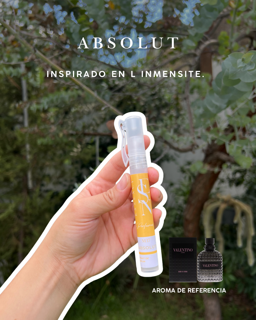 Kit de perfumes masculinos para verano.