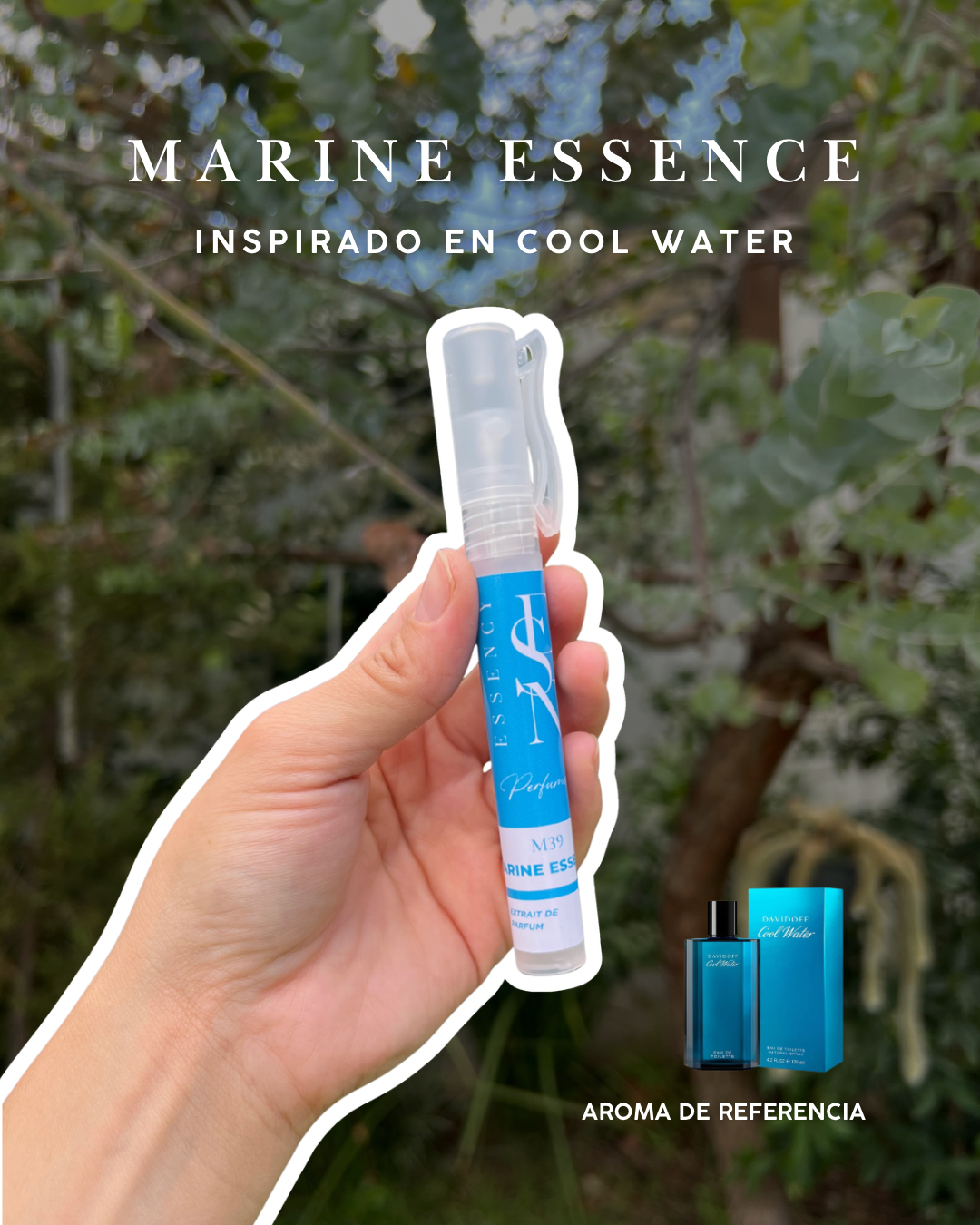 Kit de perfumes masculinos para verano.