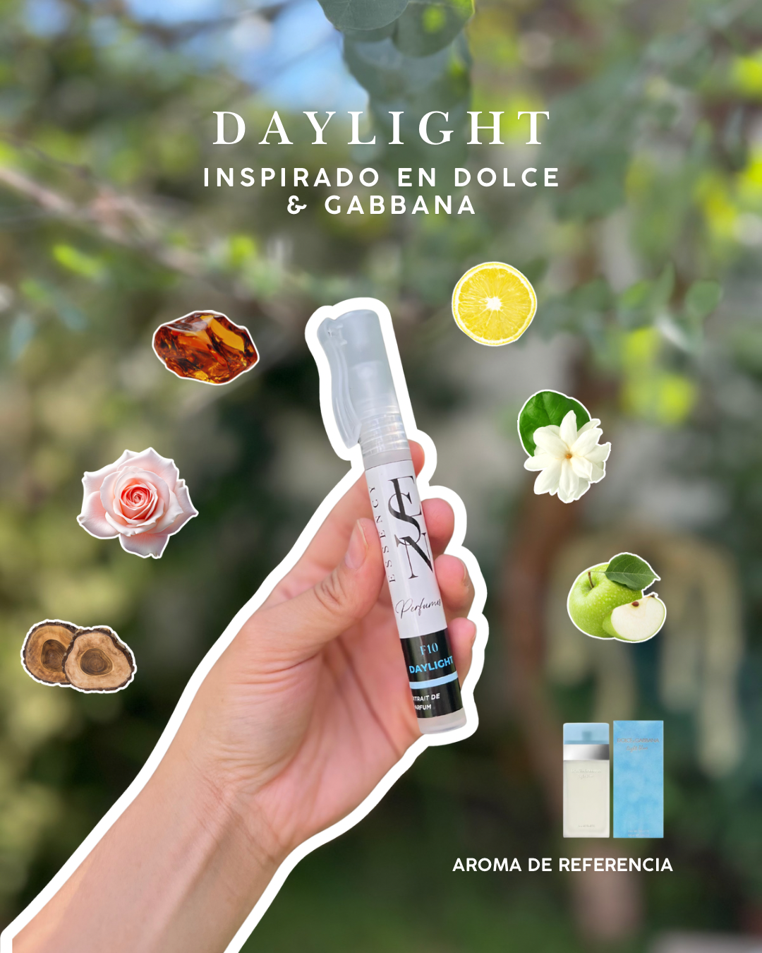 Kit de perfumes femeninos veraniegos.