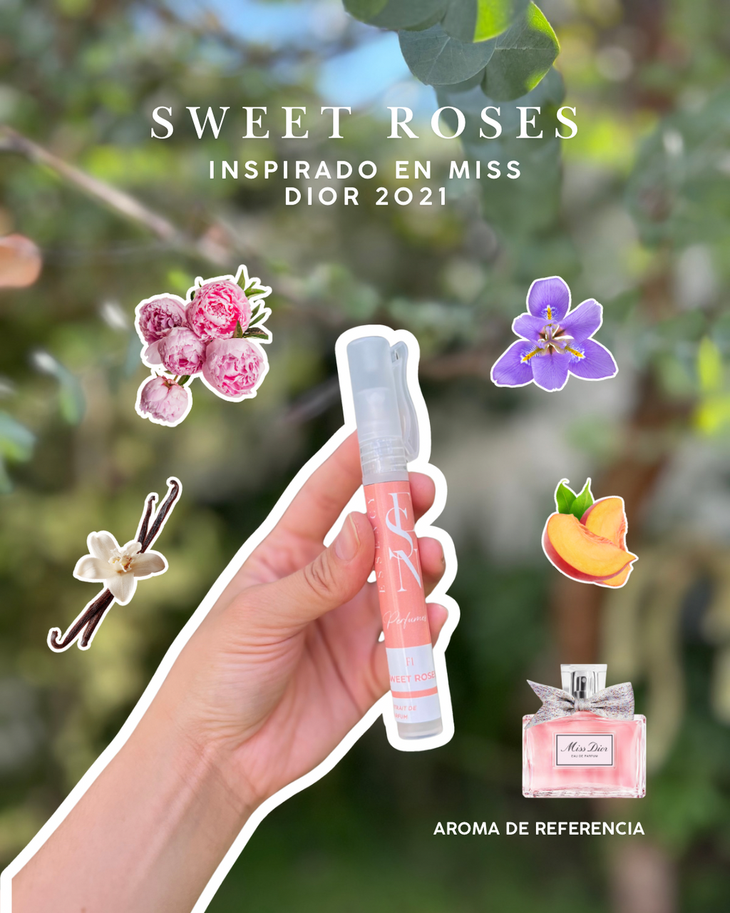 Kit de perfumes femeninos veraniegos.