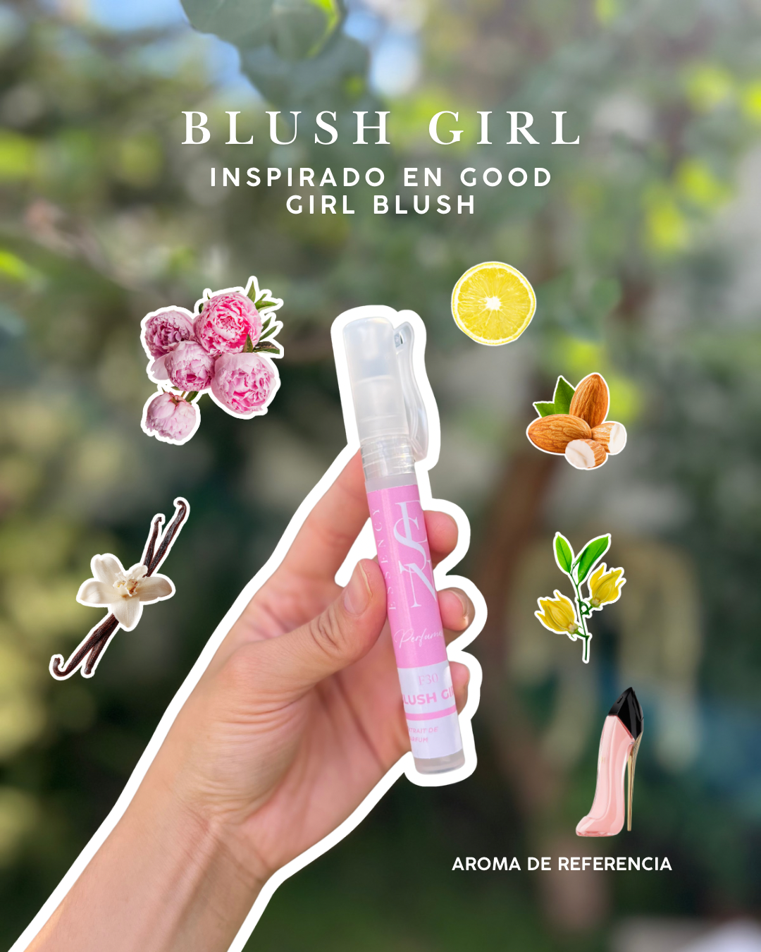 Kit de perfumes femeninos veraniegos.