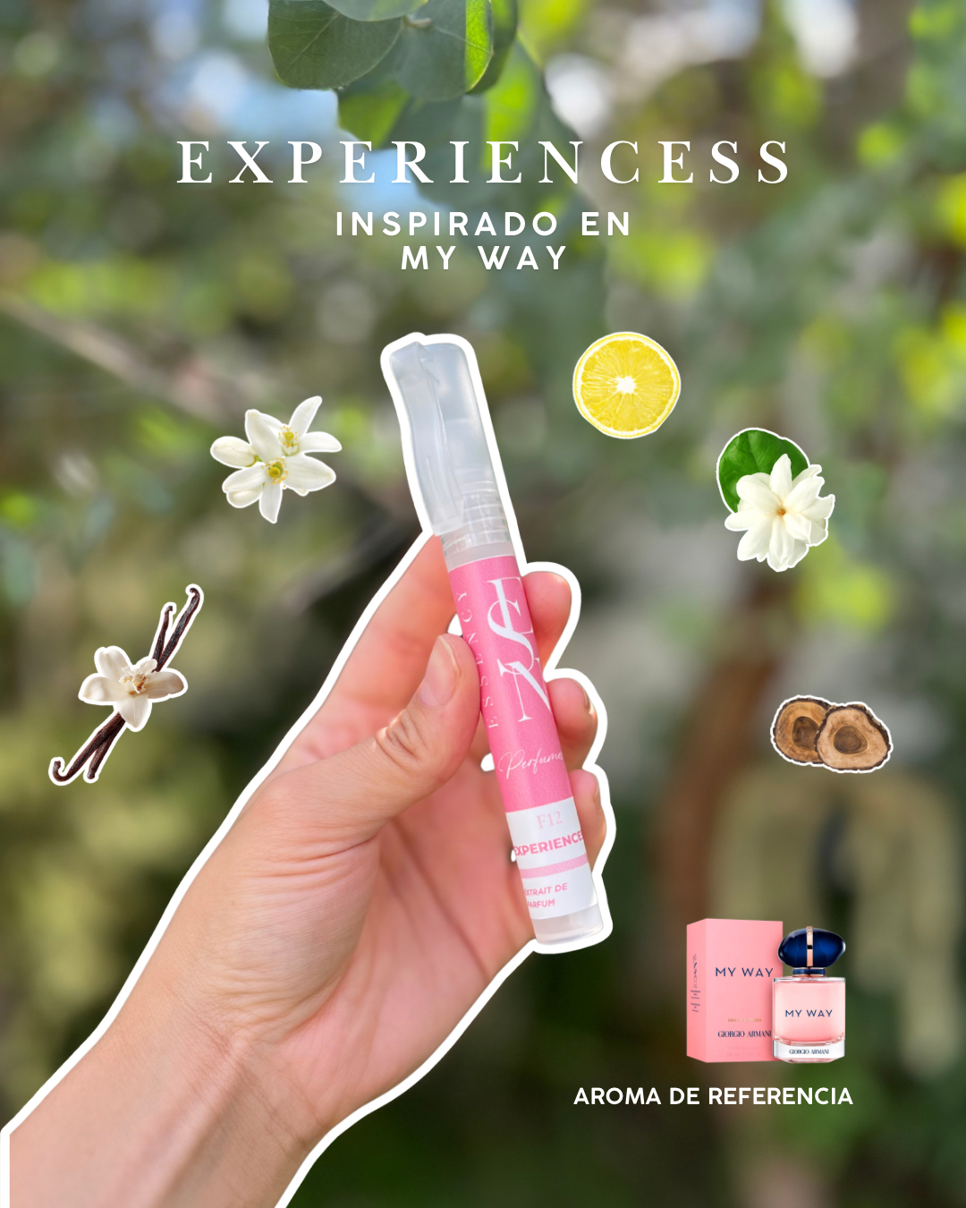 Kit de perfumes femeninos veraniegos.