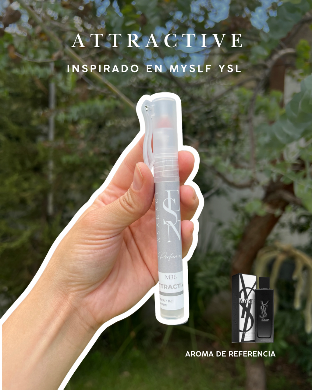 Kit de perfumes masculinos para verano.