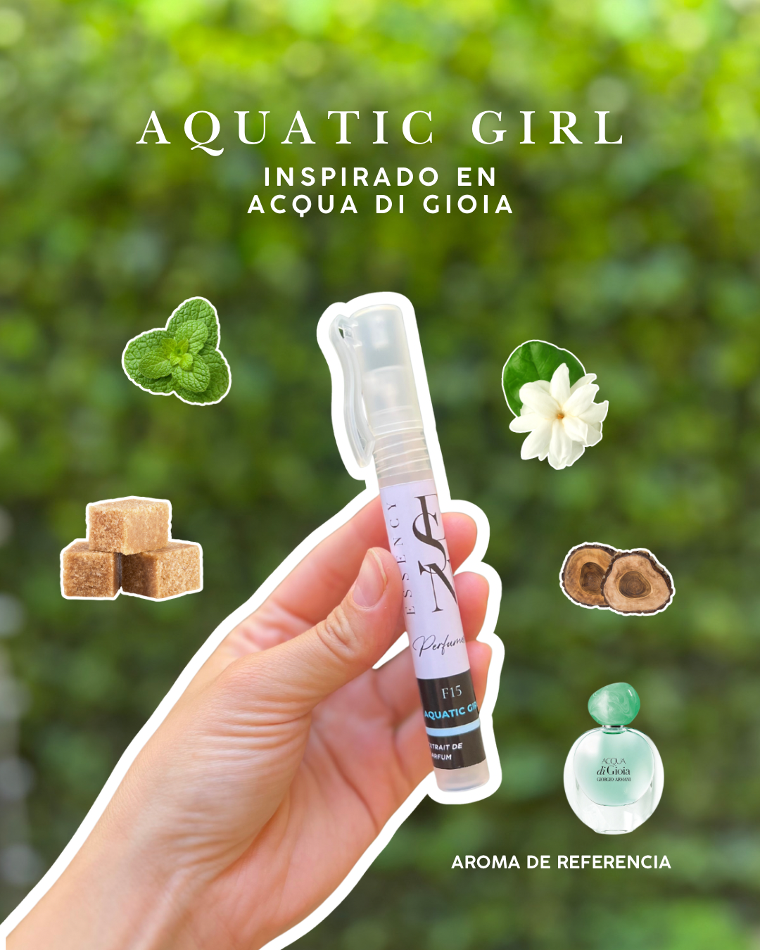 Kit de perfumes masculinos para verano.