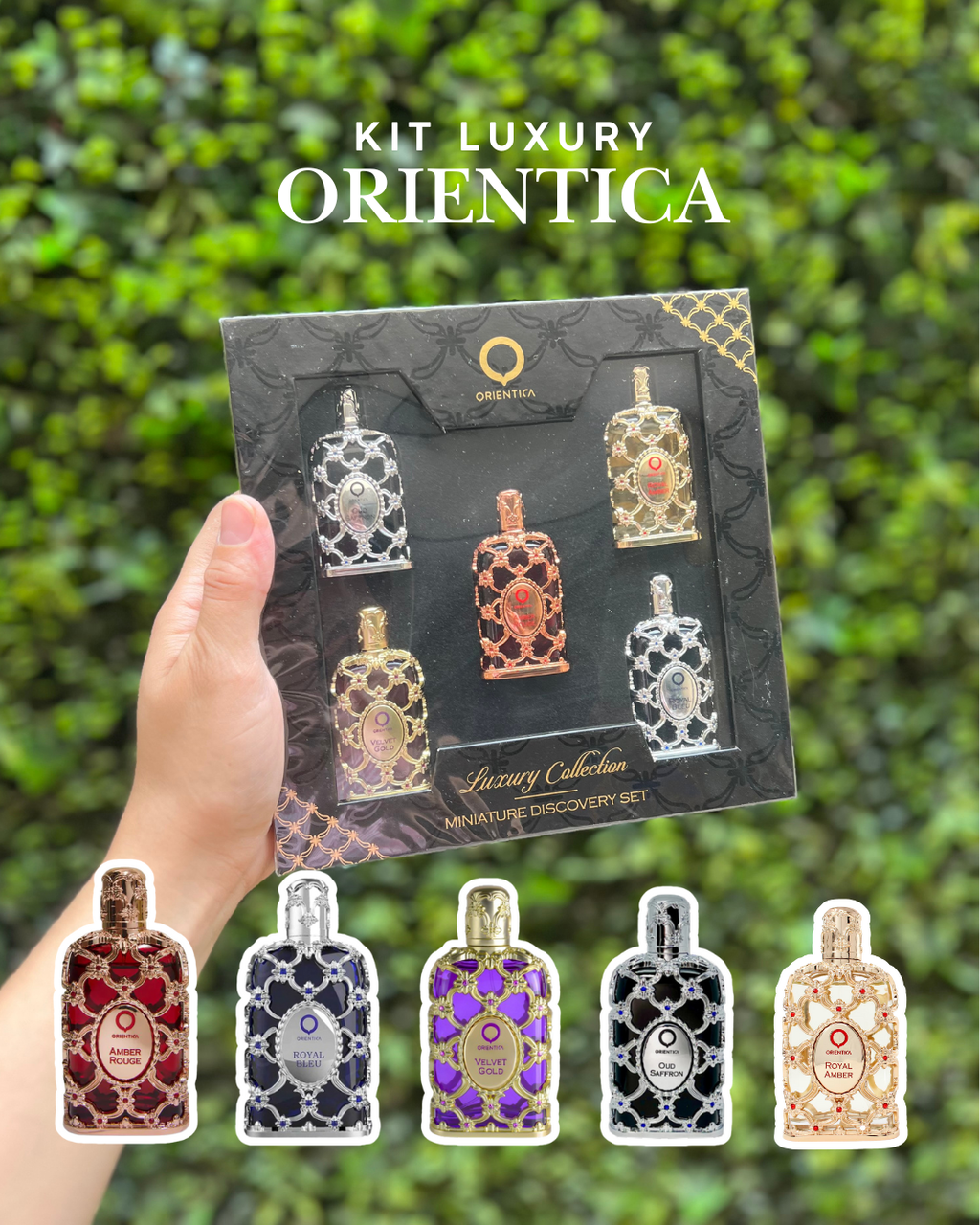 Orientica Luxury Collection Miniaturas ha