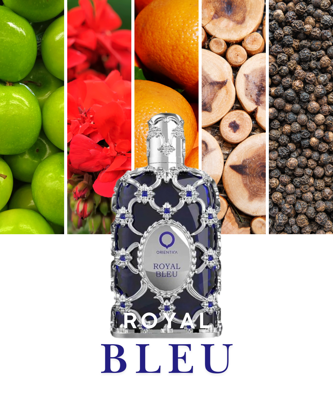 Orientica Luxury Collection Miniaturas ha