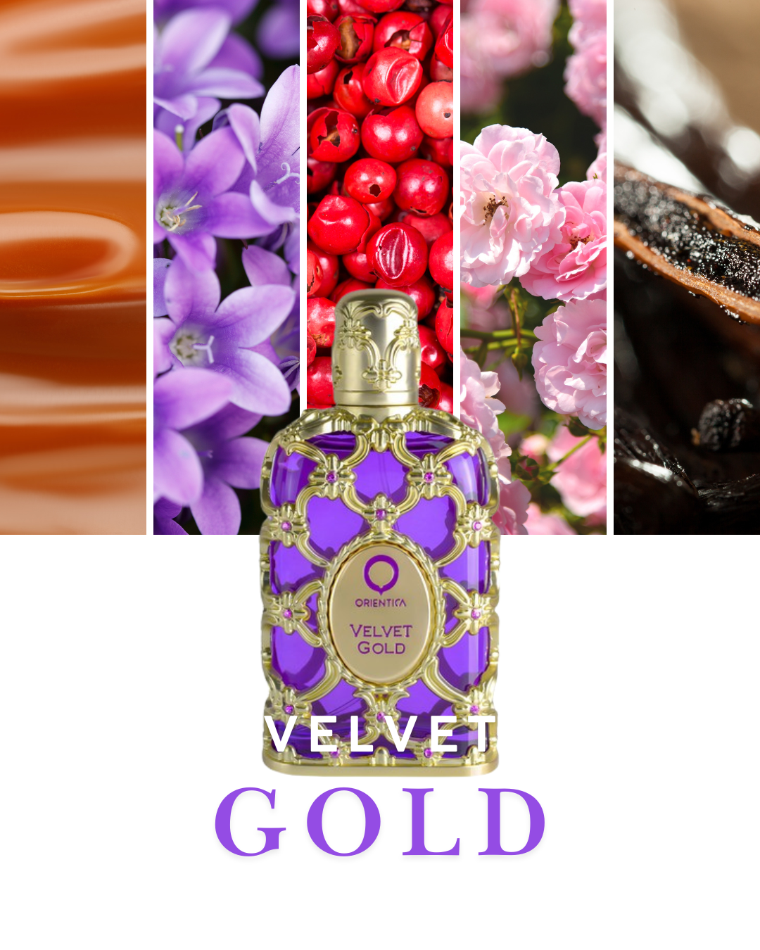 Orientica Luxury Collection Miniaturas ha