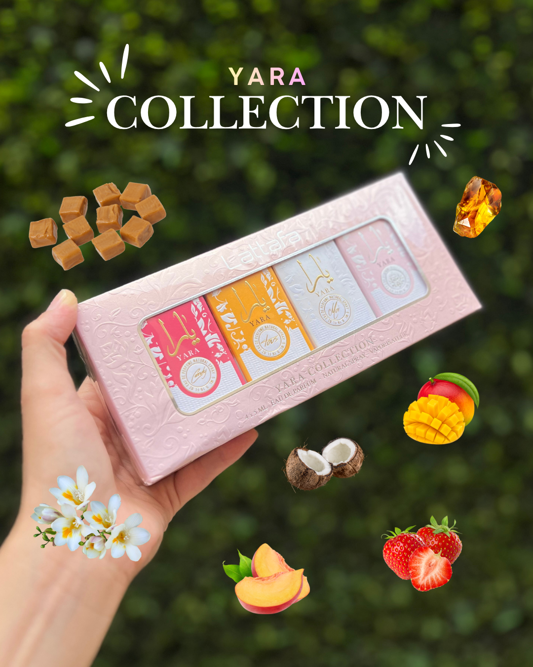 Yara Collection mini perfumes.