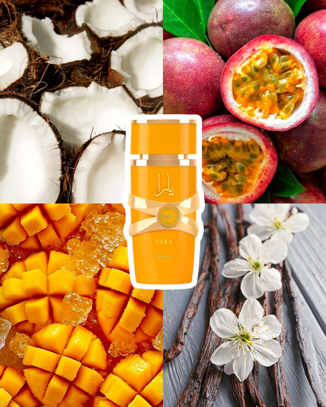 Yara Collection mini perfumes.